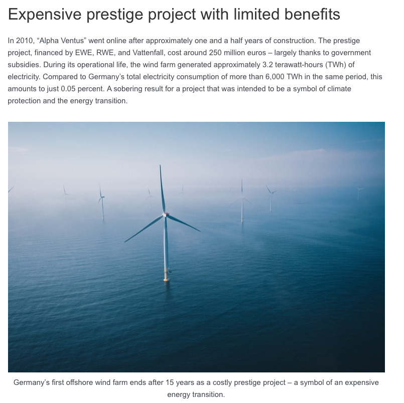 Mesalina tweet media