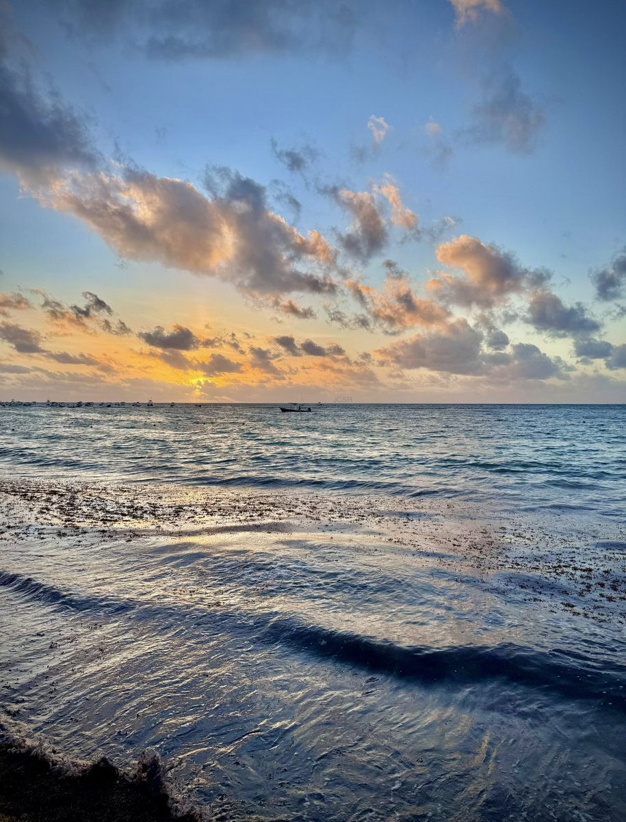 ¡Feliz domingo! 🙏🏻✨