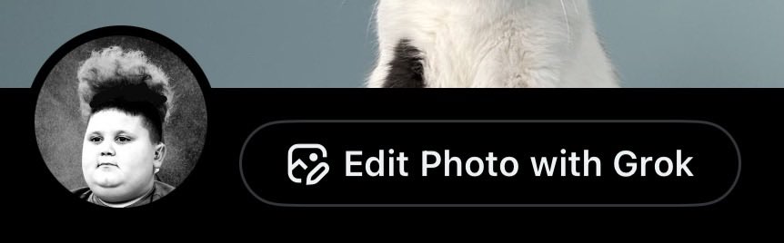 jerems🐈 tweet media