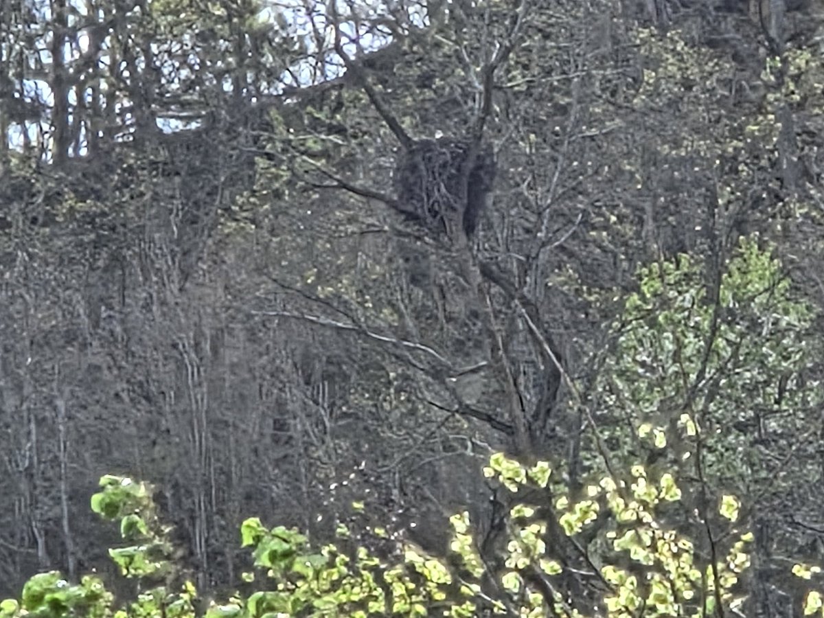 Lyn313🕊 tweet media