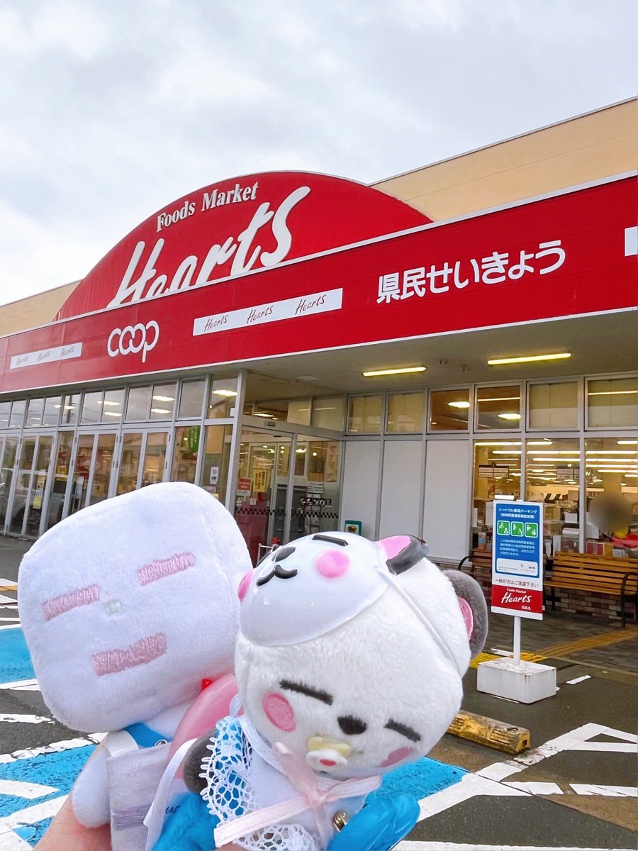 きらし⬜️ tweet media