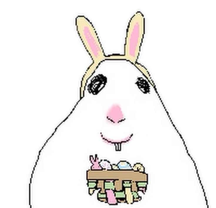 Nova Serenity ⋆౨ৎ˚⟡˖ ࣪ tweet media