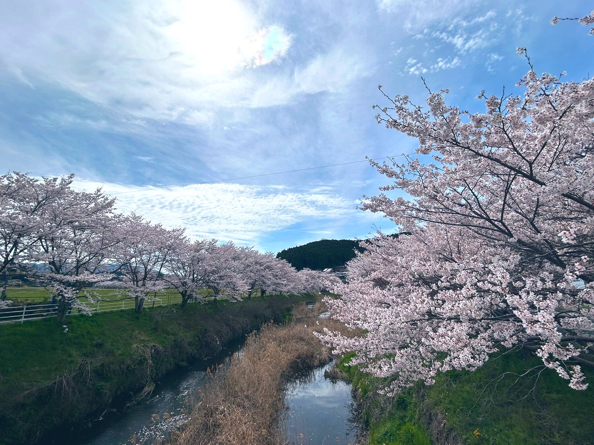 サンロク/スト6と猫暮らし tweet media