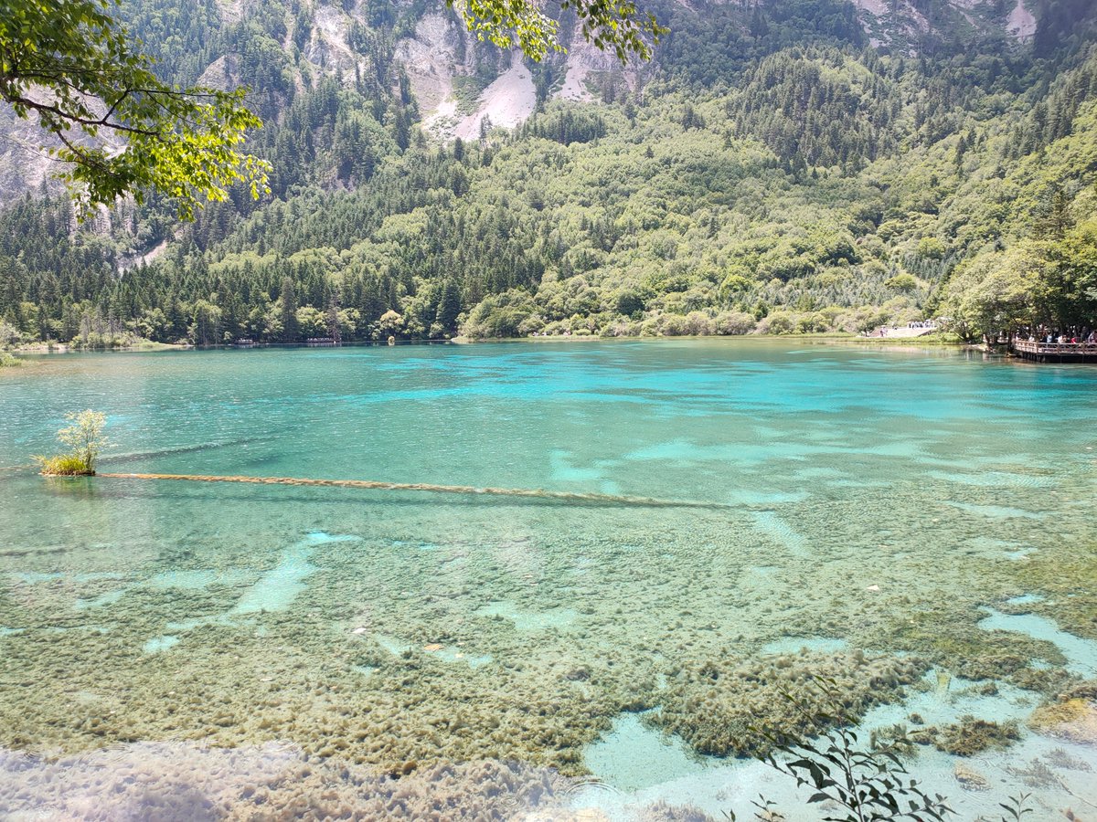 patricia rena henry tweet media