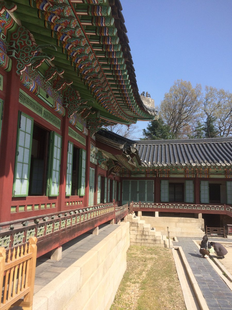 기니 tweet media