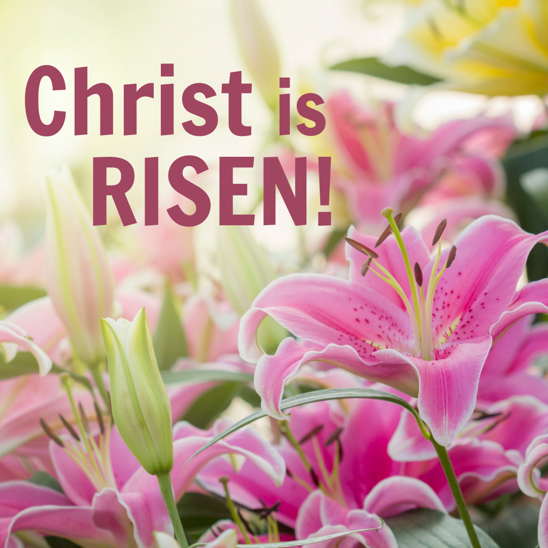 We Raise Foundation tweet media