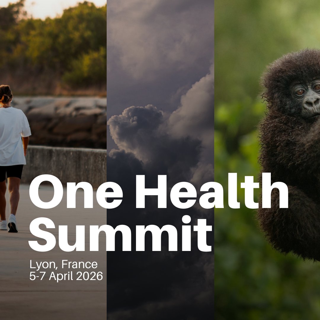 UN Environment Programme tweet media