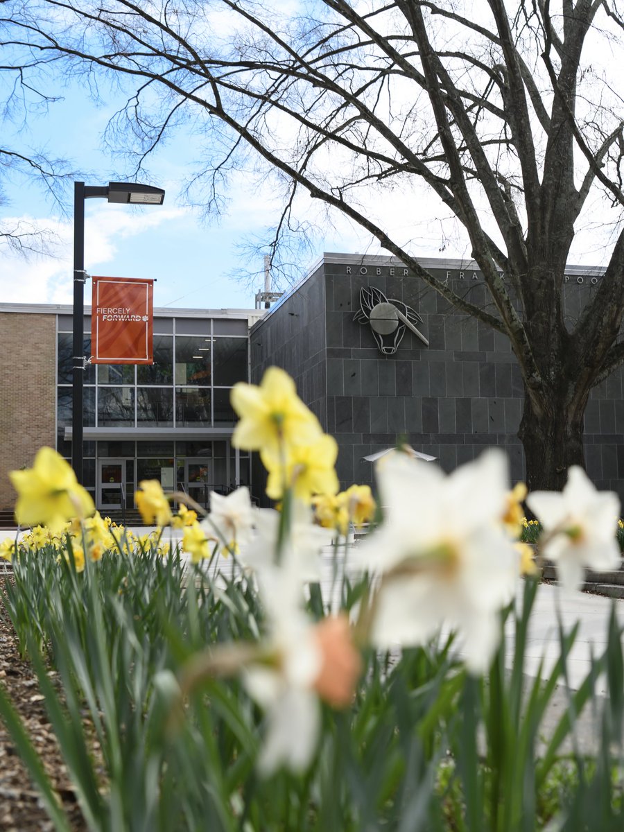 Clemson University tweet media