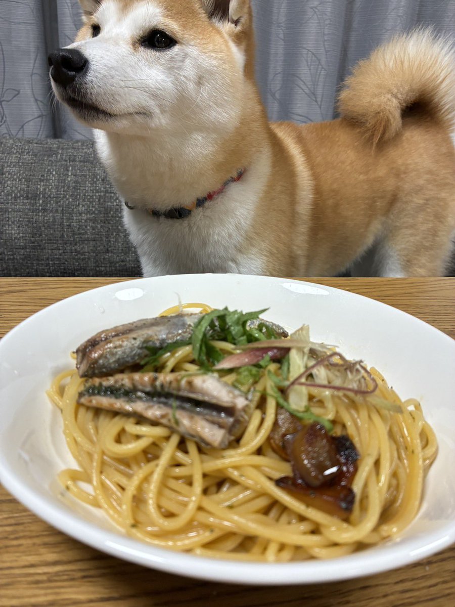 あいはん𝕏 tweet media