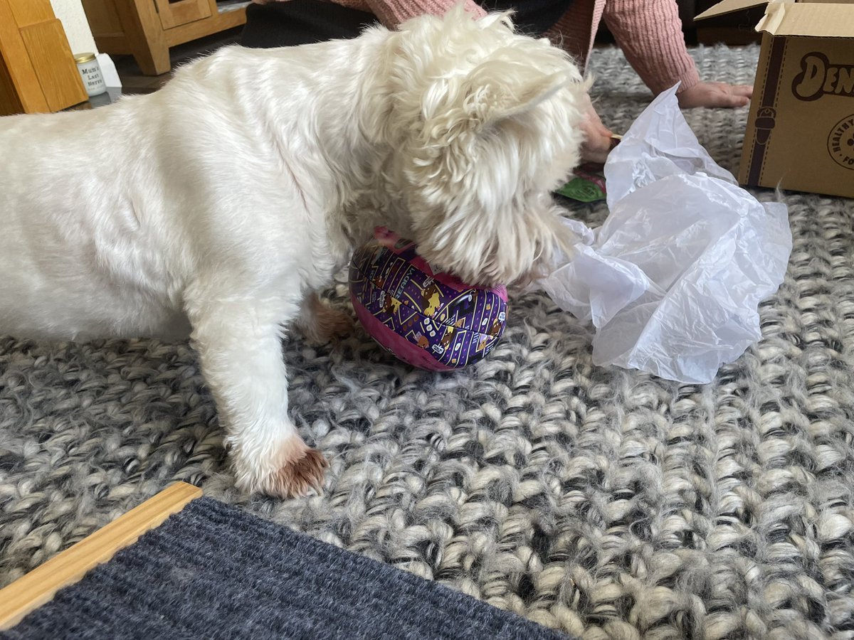 Charlie Hudson tweet media