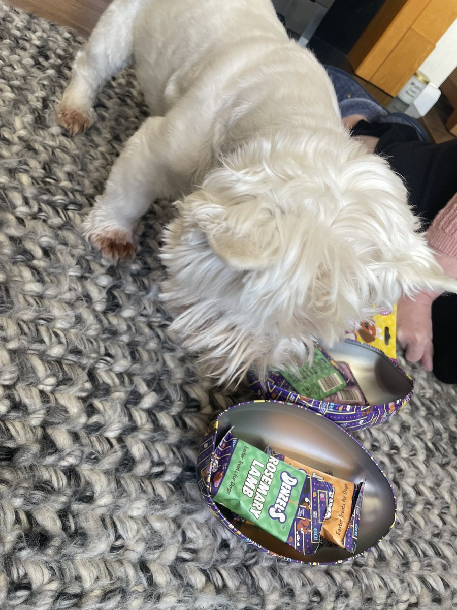 Charlie Hudson tweet media