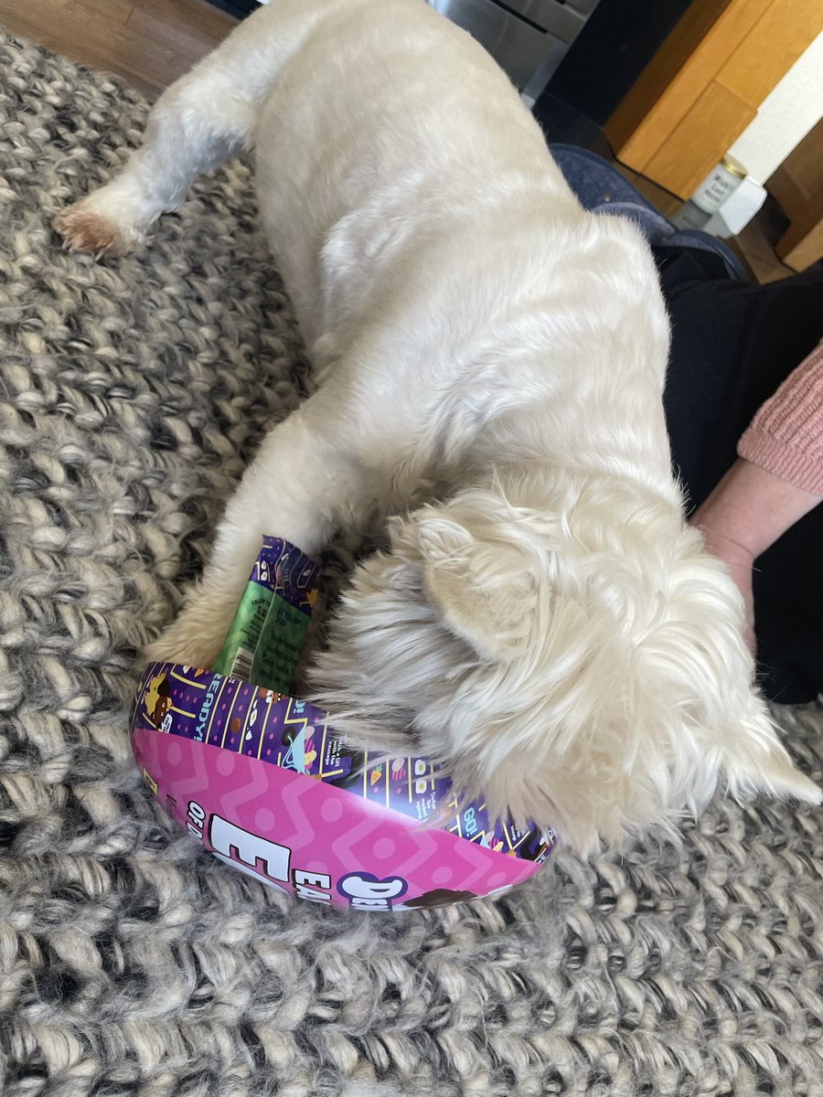 Charlie Hudson tweet media