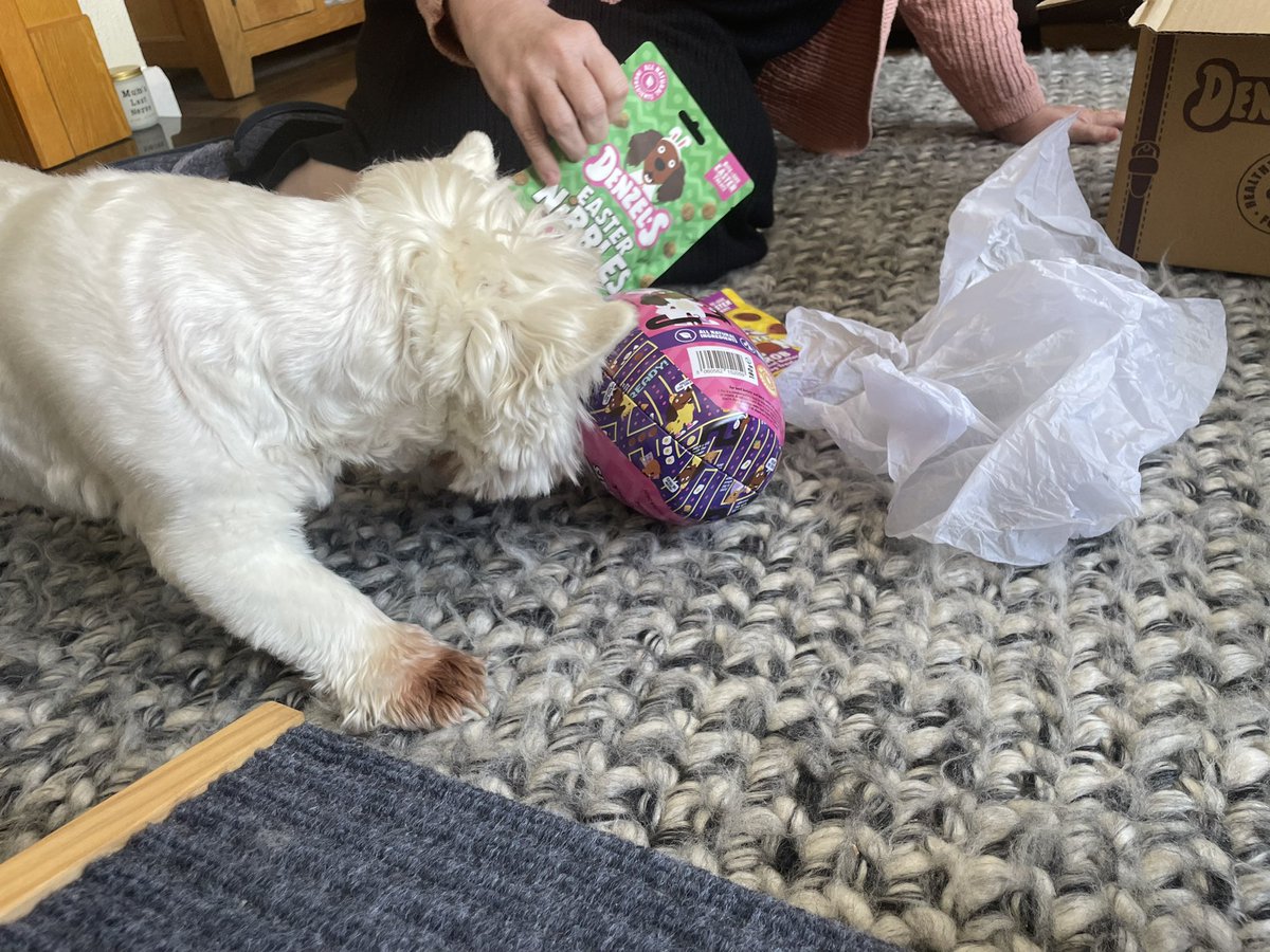 Charlie Hudson tweet media