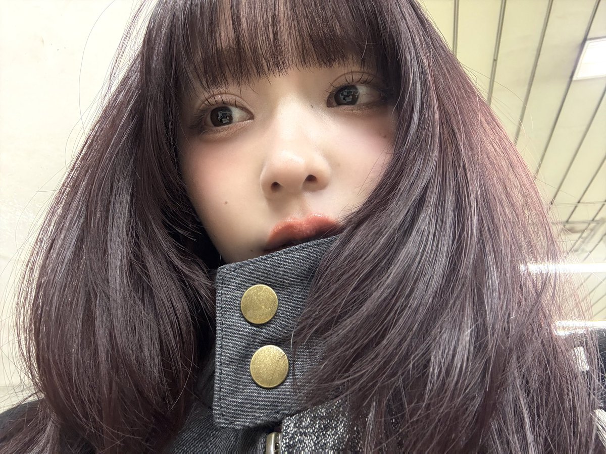 月森湖子 tweet media