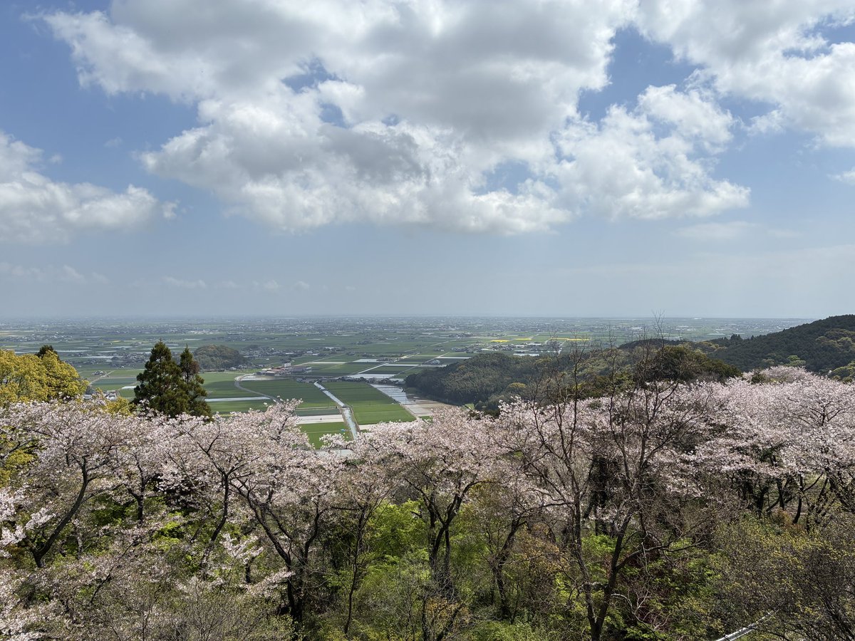 mizodrum's tweet photo. 良き https://t.co/txm9LeO3L1