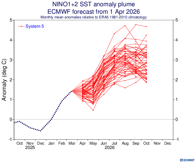 Abraham Levy tweet media