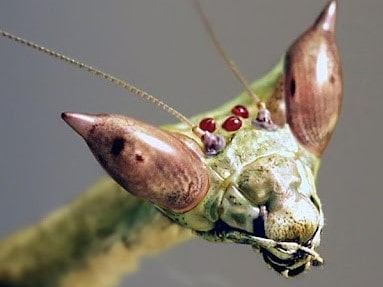 Зачудована tweet media