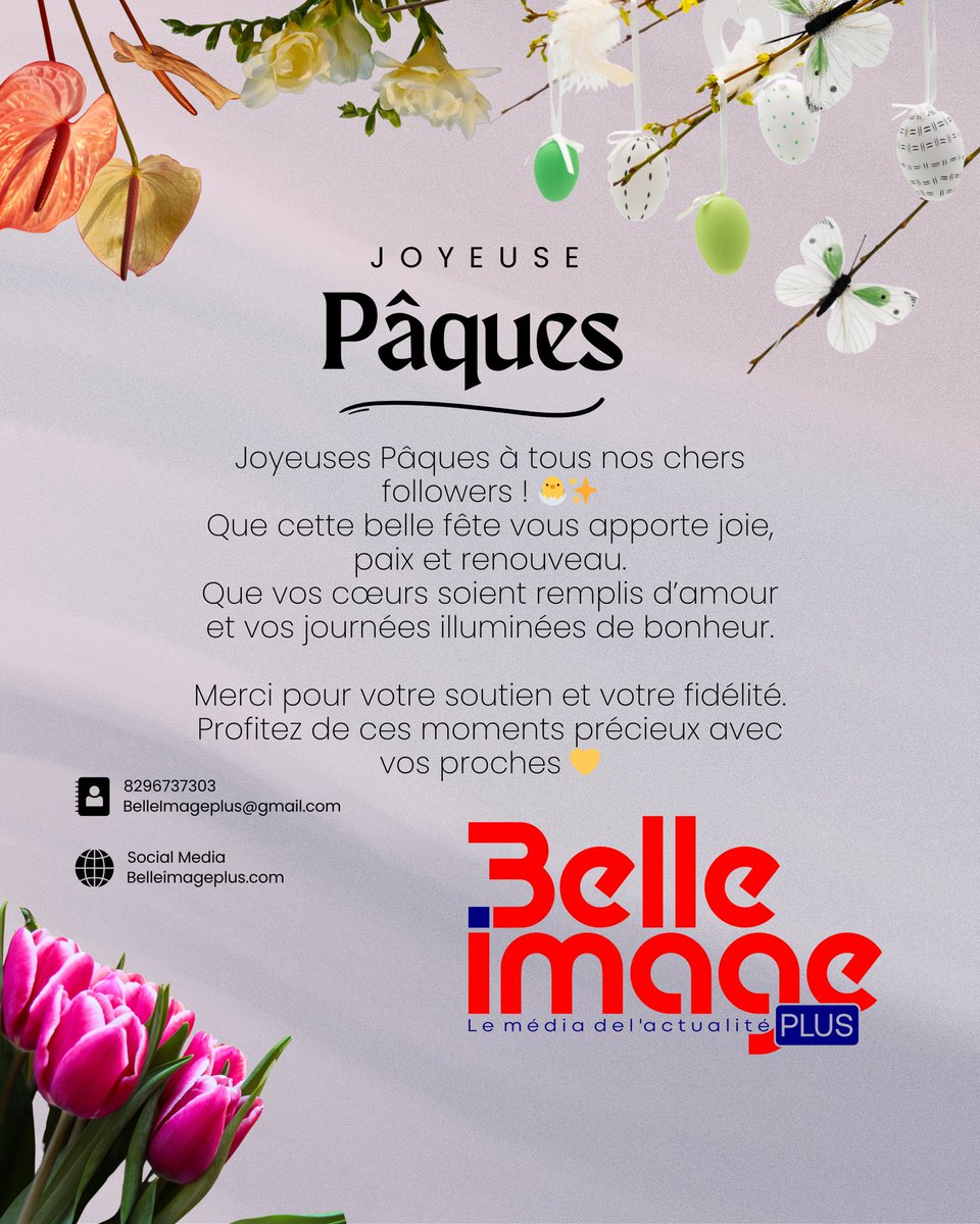Belle Image Plus tweet media