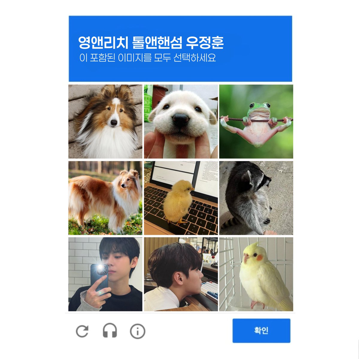 우정훈 tweet media