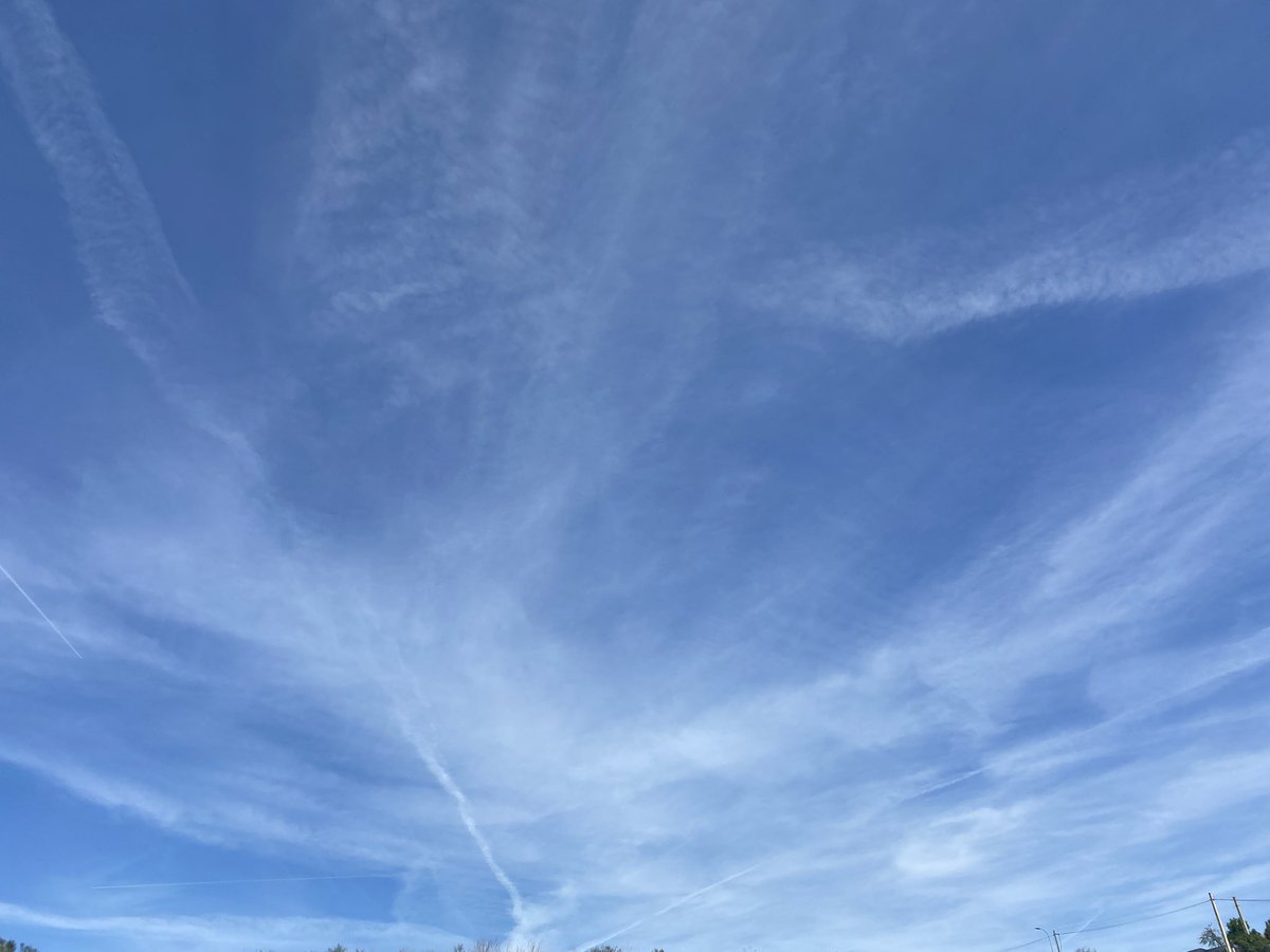 Mrs. Guerrera tweet media