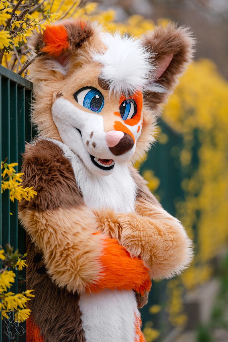 Baddy 🐾 tweet media