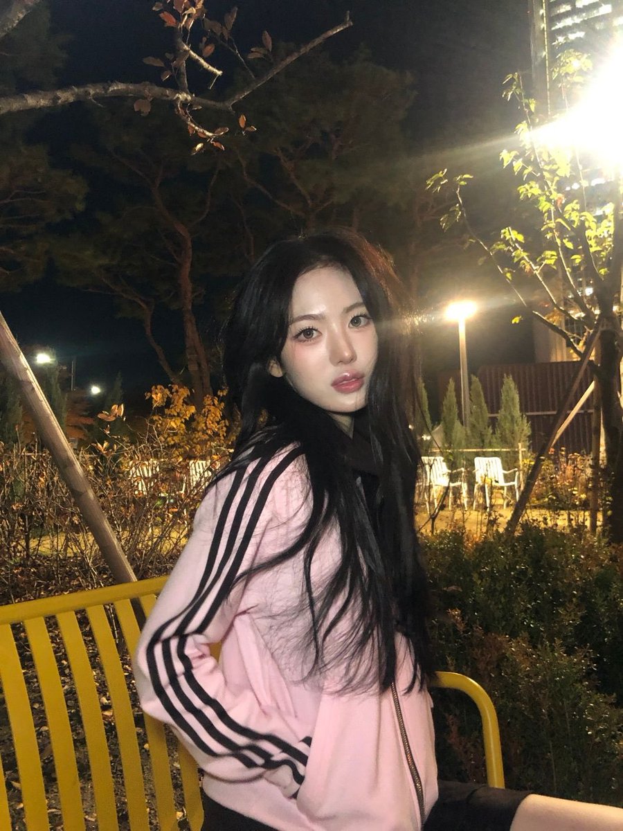 설 tweet media