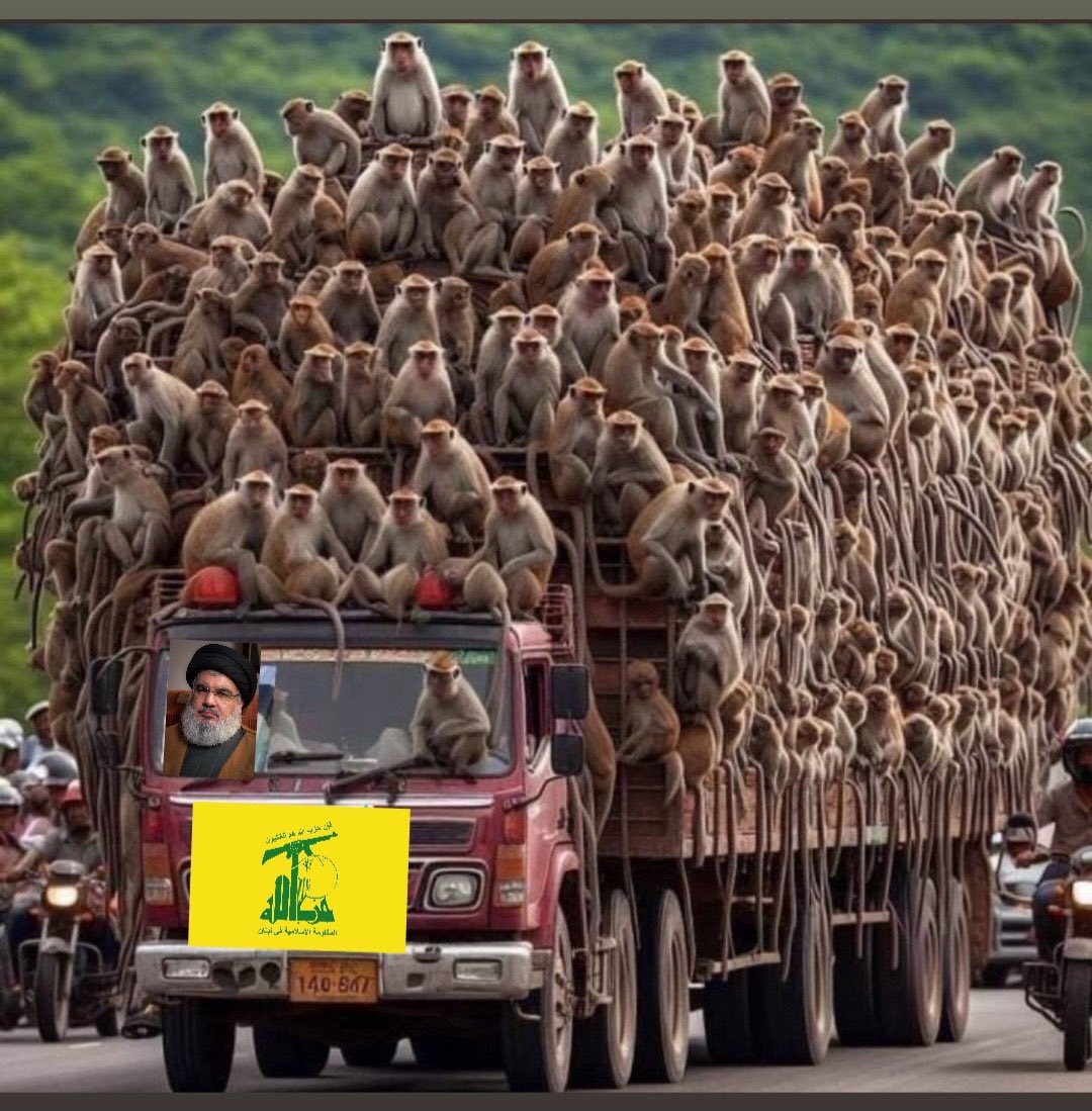 ghassan jano tweet media