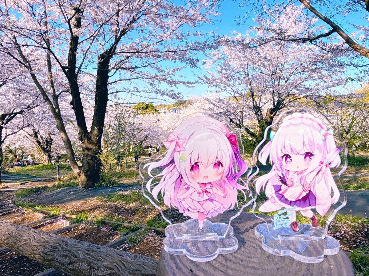 あむれすと🍀趣味垢 tweet media