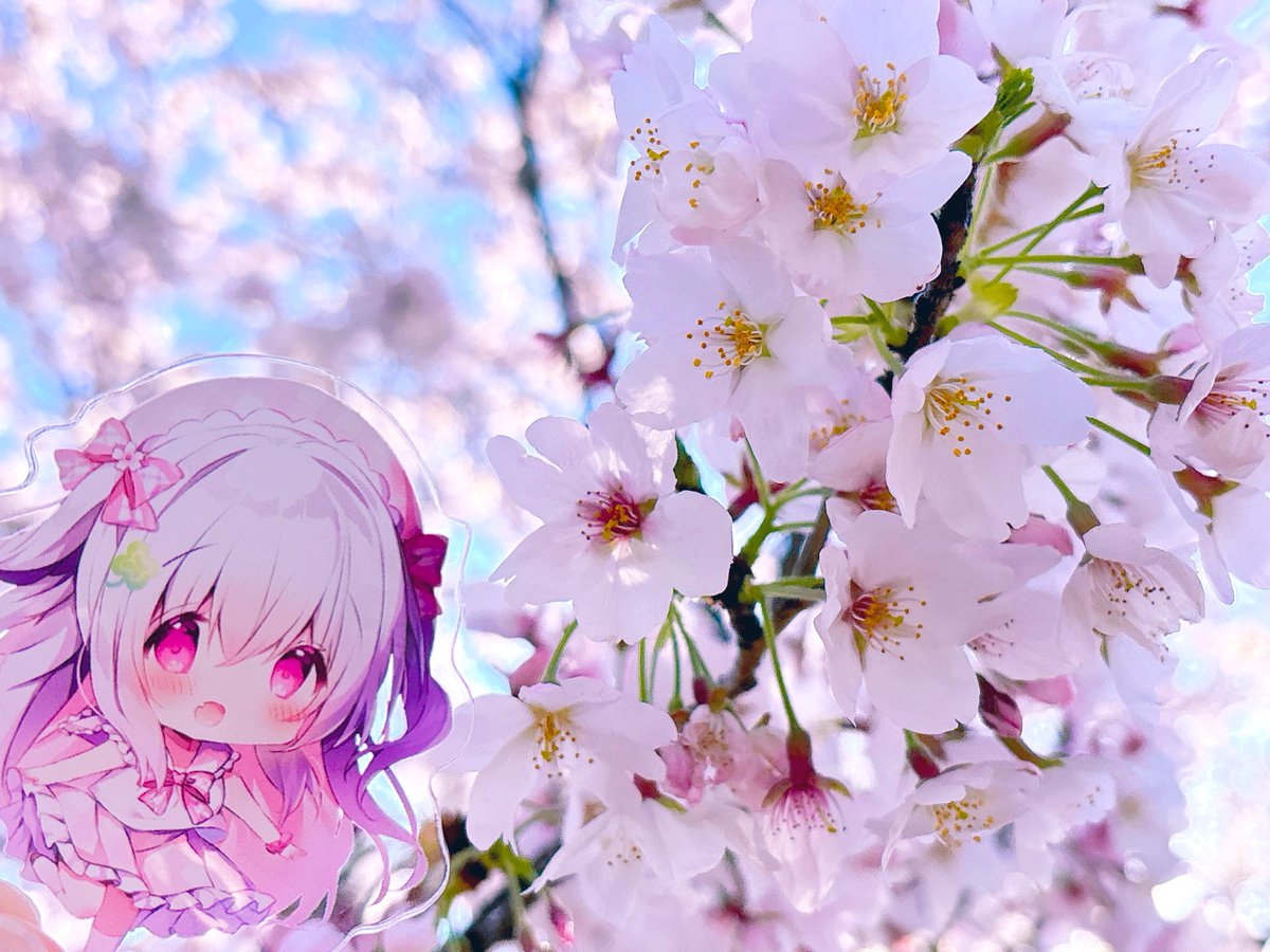 あむれすと🍀趣味垢 tweet media