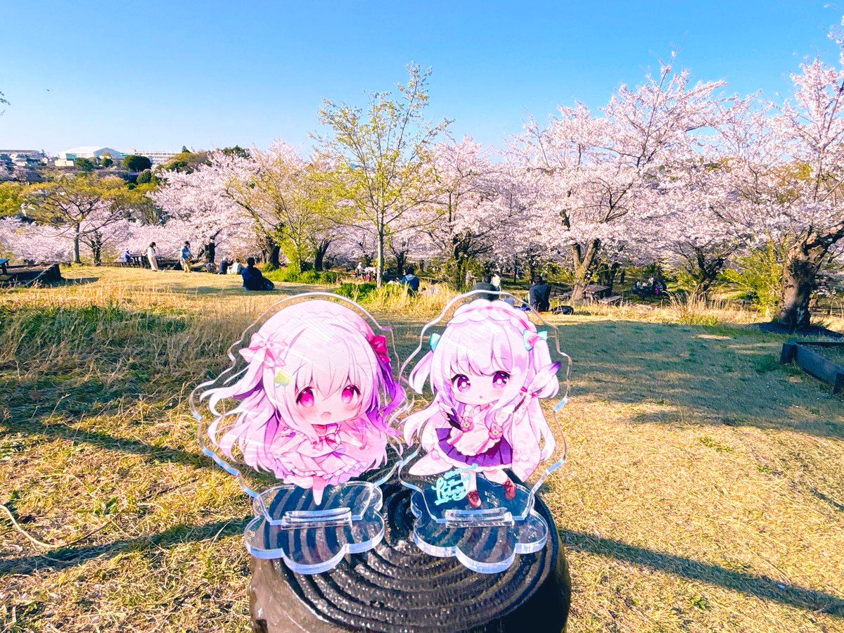 あむれすと🍀趣味垢 tweet media