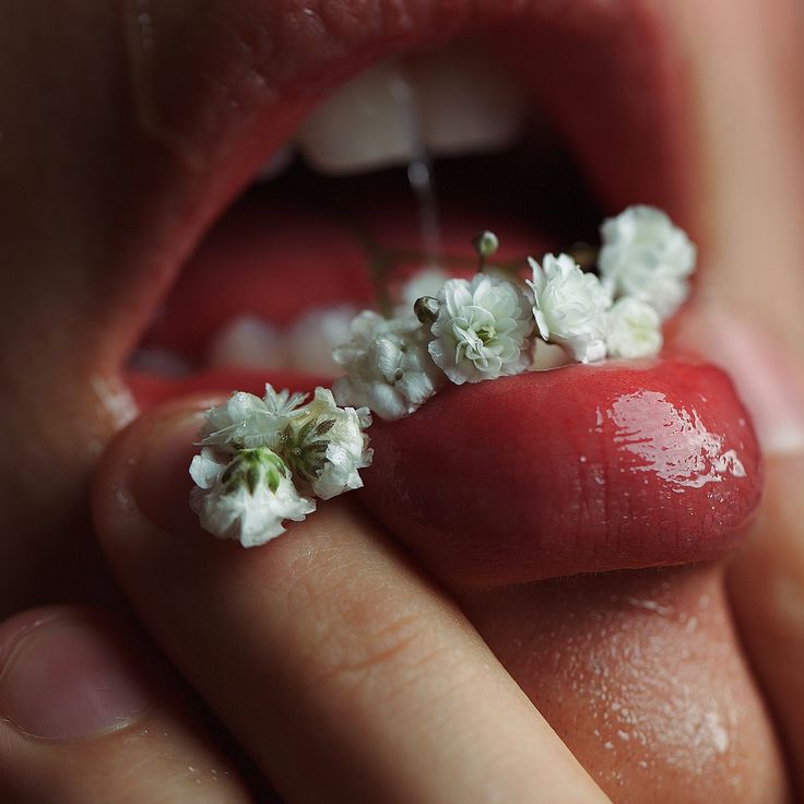 𝓜𝓪𝓲𝓭𝓮𝓷 𝓸𝓯 𝓢𝓹𝓻𝓲𝓷𝓰 💐 tweet media