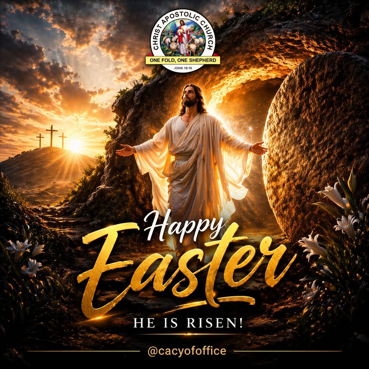 Cacyof Office tweet media