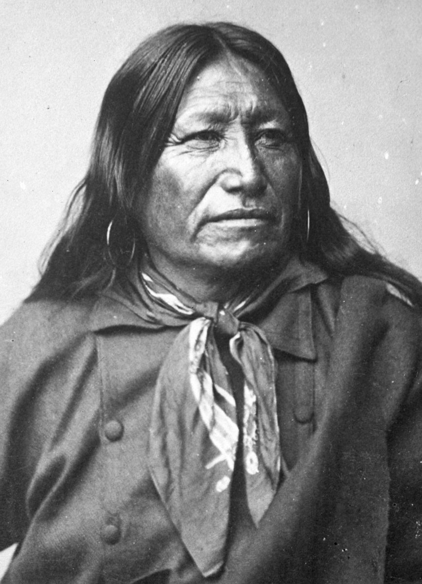 Brett Chapman tweet media