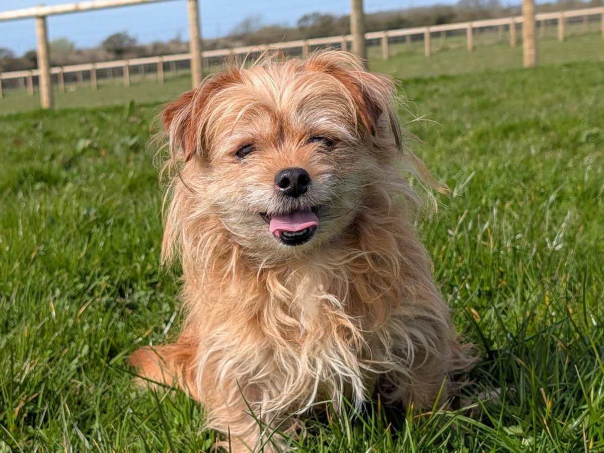 Greenacres Rescue tweet media