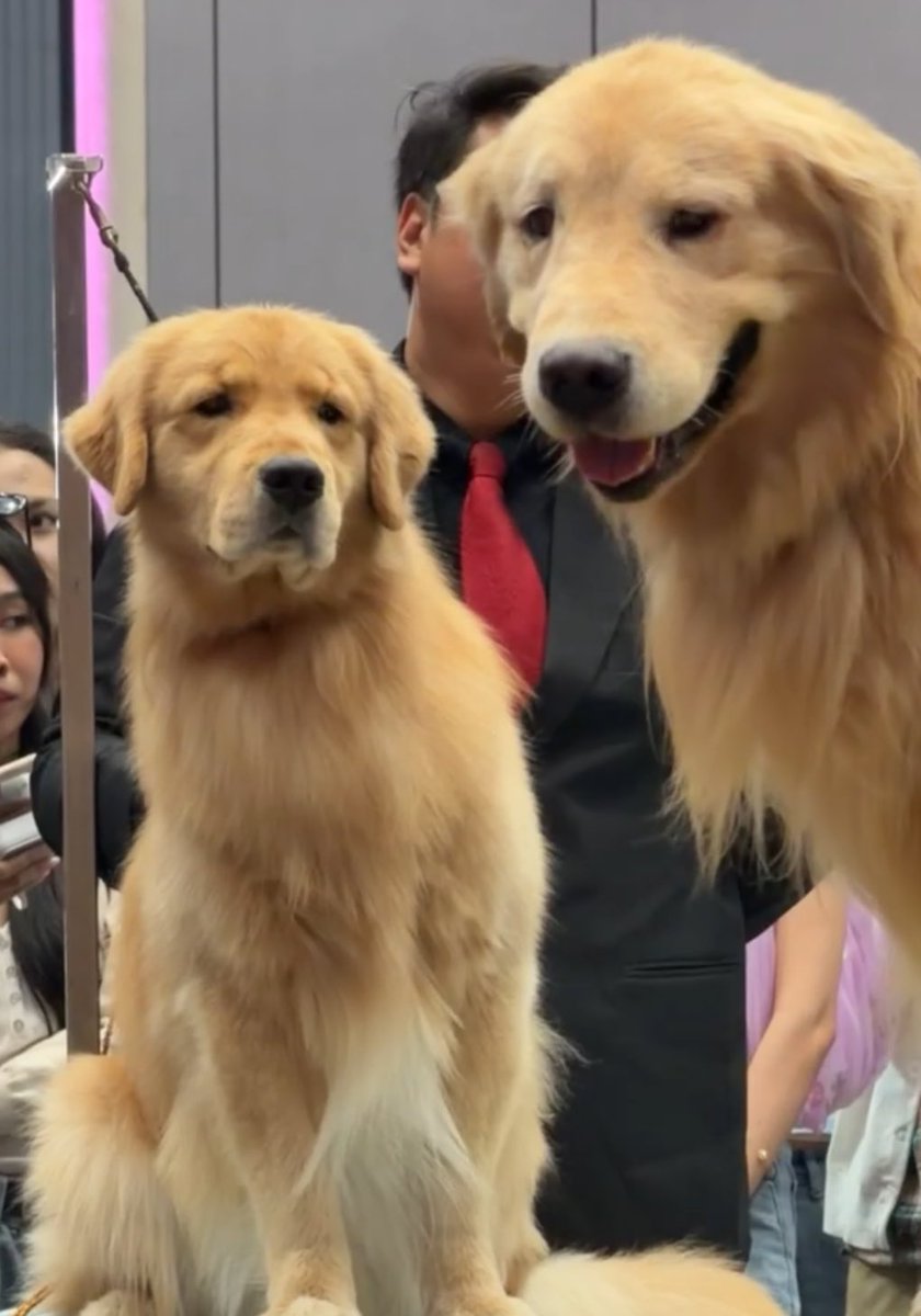 • แก้มเกว • tweet media