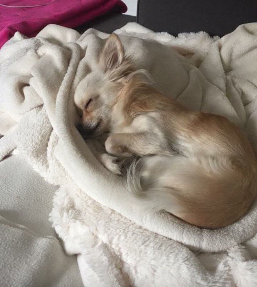 Ulf Danielsson tweet media