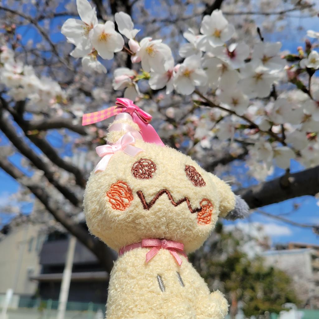 空やんるあ@ﾐｱﾚcityを周回中 tweet media