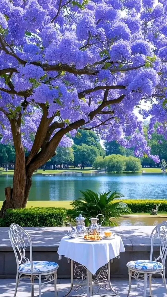 MostafaOmer tweet media