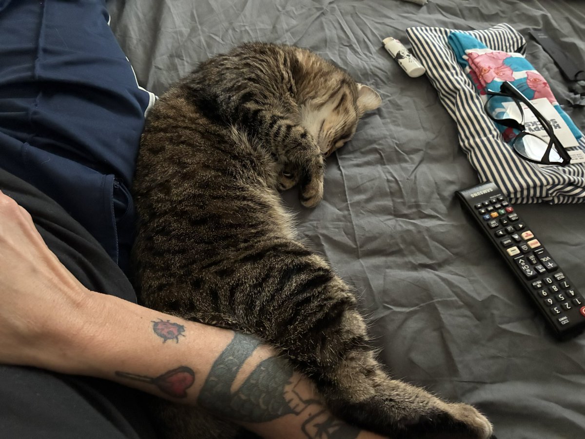 SuDeDoss tweet media