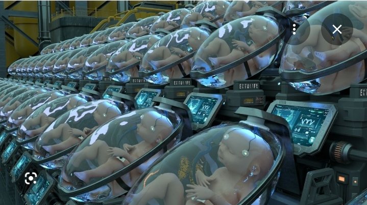 Chipmonk tweet media