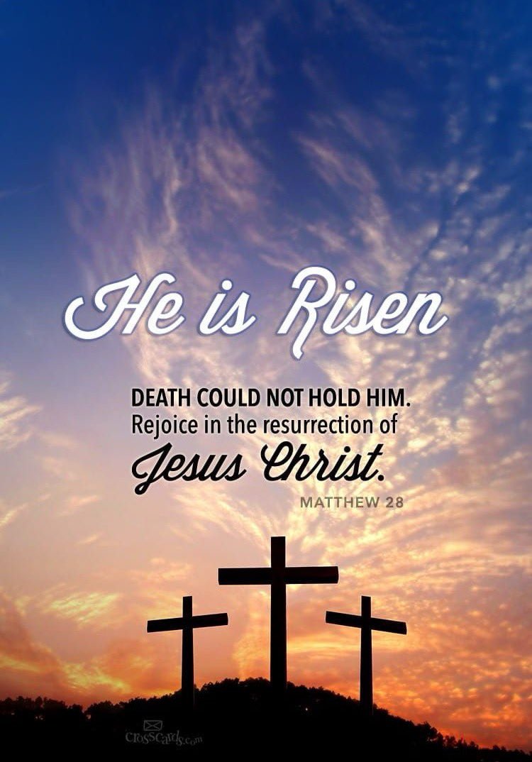 P.Monty🇺🇸🇮🇹 tweet media