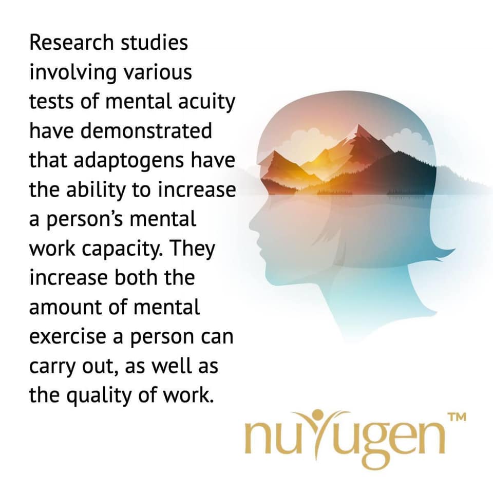 New Path Wealth tweet media