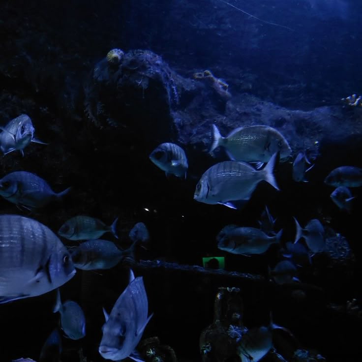 三上. — 𝑇𝔢𝔯𝔲 tweet media