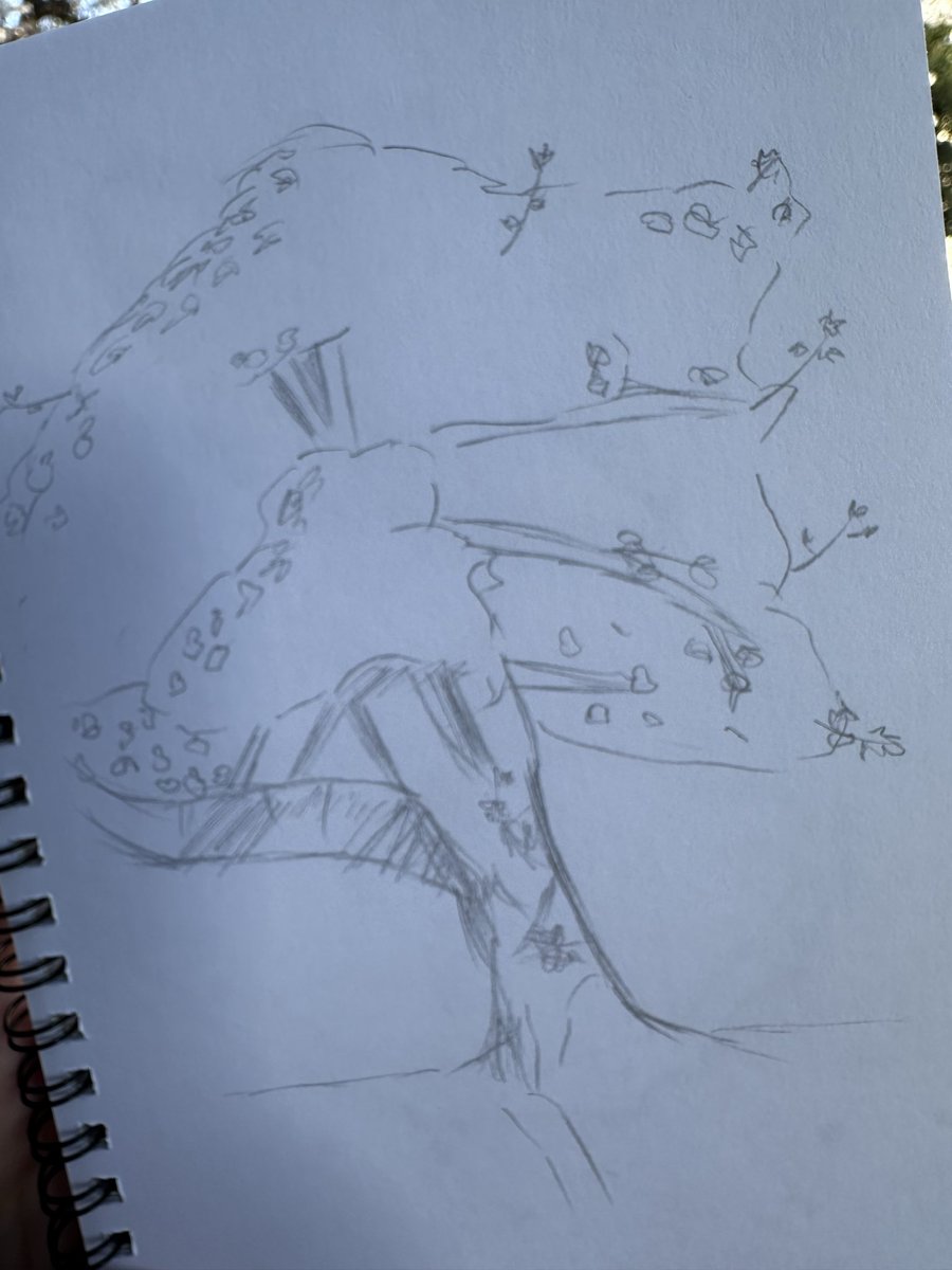 リン太郎 tweet media