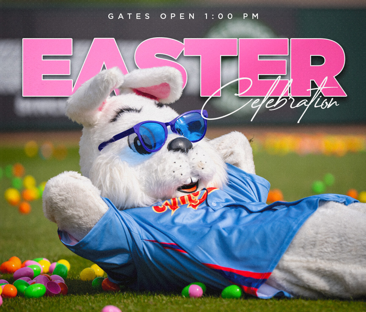 Knoxville Smokies tweet media