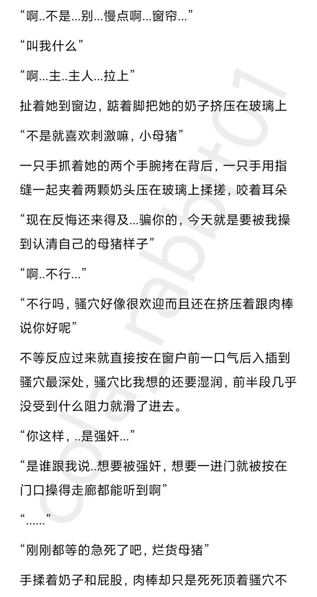 猪猪脑袋 tweet media