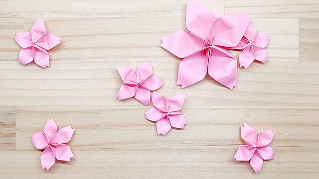 강지구 tweet media