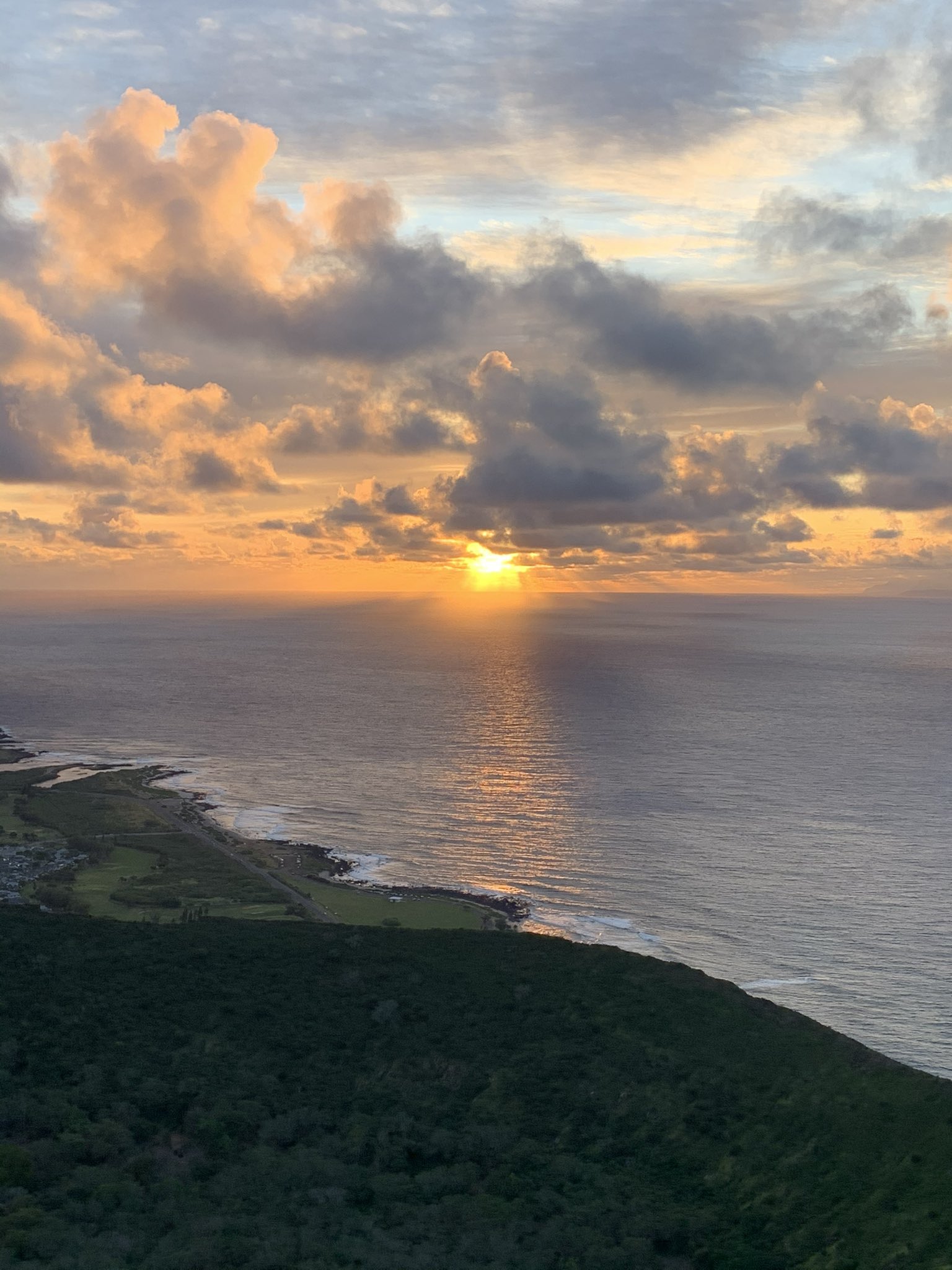 Tulsi Gabbard 🌺 (@TulsiGabbard) on X