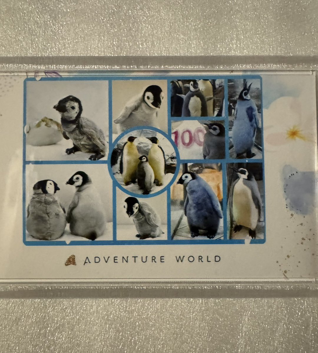 かーりん tweet media