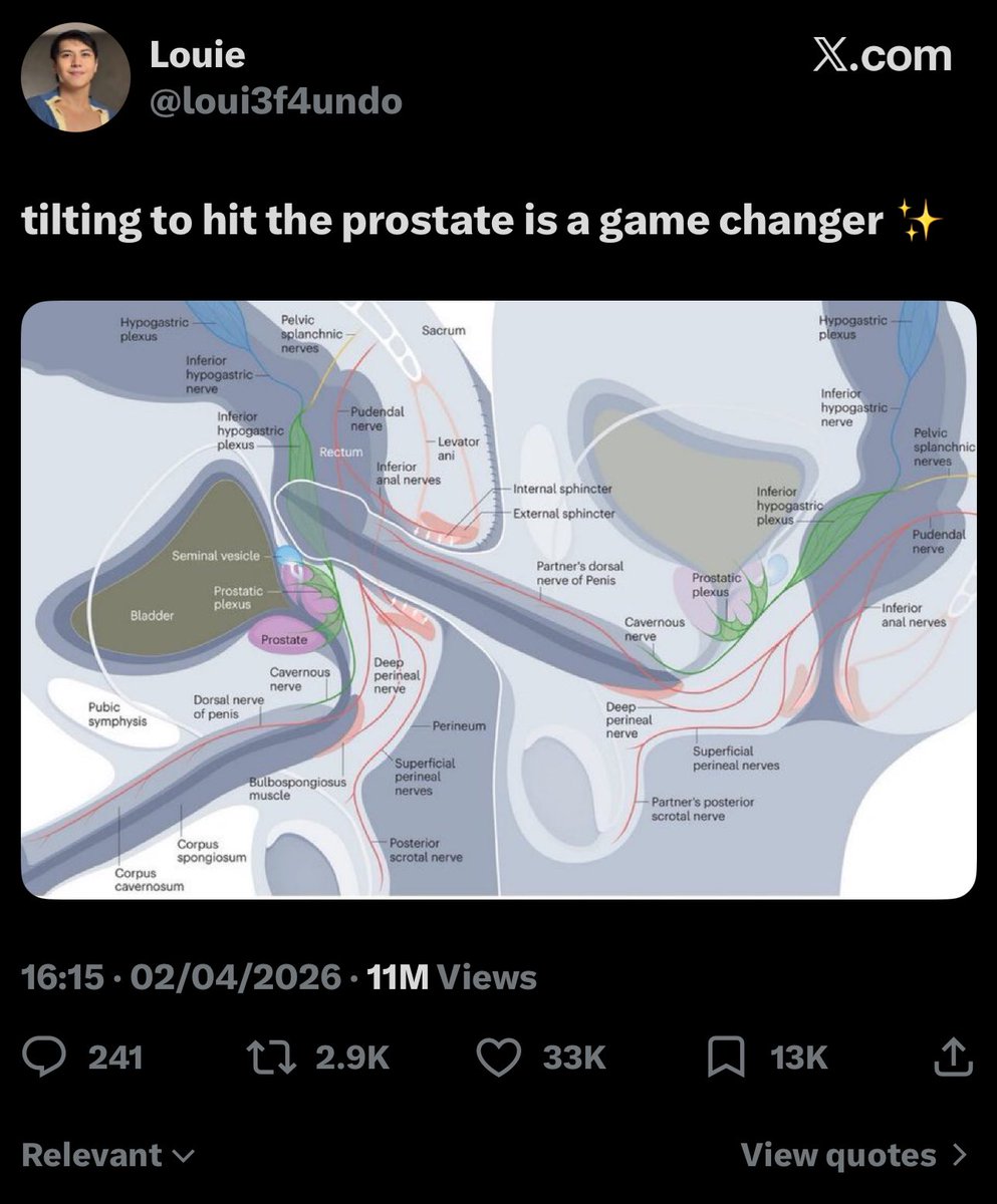 i thought this was a map about the strait of hormuz in the middle east and it’s just someone planning a far more personal invasion